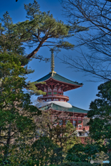 2021-02-20_成田新勝寺(1)