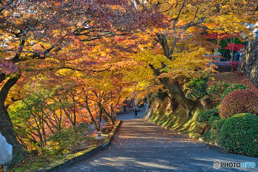 2020-11-14_永源寺もみじ寺(6)