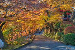 2020-11-14_永源寺もみじ寺(6)