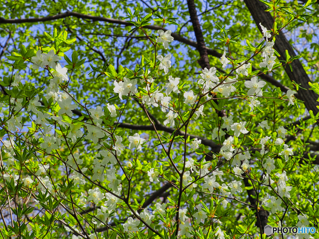 2021-05-09_日光散策-4