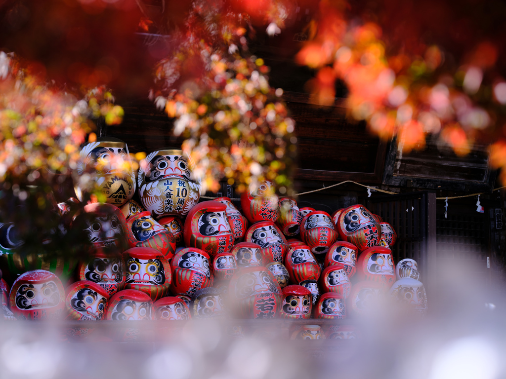 2025-11-22_少林山 達磨寺-4