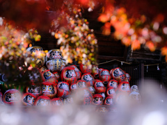 2025-11-22_少林山 達磨寺-4