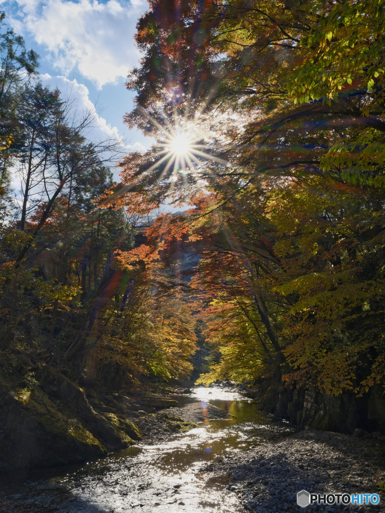 2021-11-06_大芦渓谷 白井平橋-2