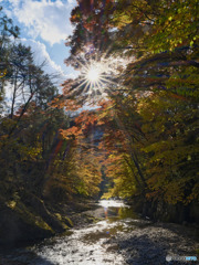2021-11-06_大芦渓谷 白井平橋-2