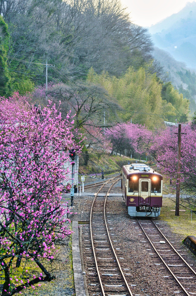 2024-03-31_わたらせ渓谷鐵道-3