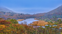2025-10-25_群馬県立赤城公園 2025-10-25_群馬県立赤城公園