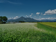 2021-08-27_磐梯山とそば畑