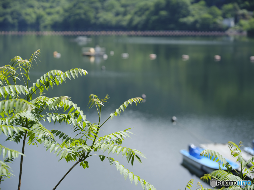 2022-05-22_草木ダム展望台駐車場