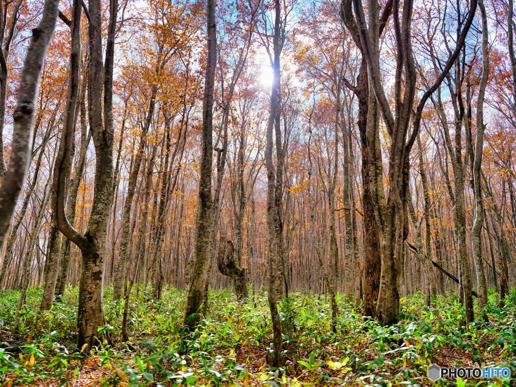 2021-10-29_酸ヶ湯温泉-1