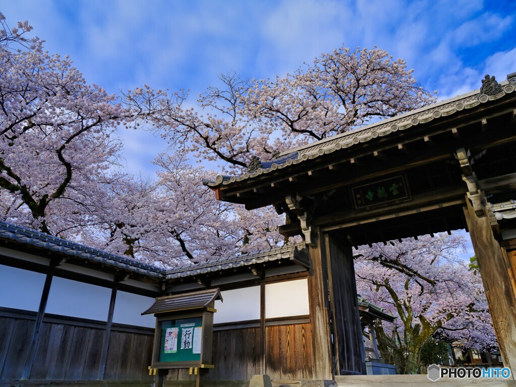 2022-04-03_雲龍寺-1(鹿沼市)