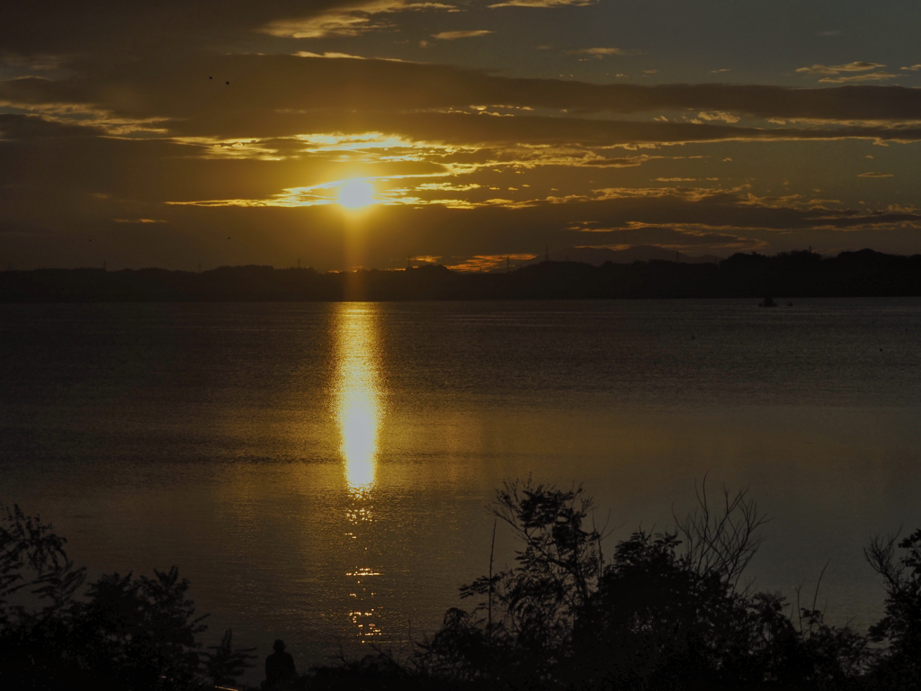 2021-08-10_渡良瀬遊水地-1