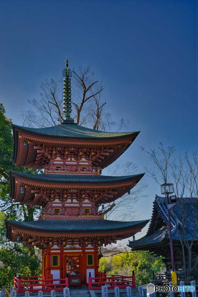 2021-02-23_布施弁天 東海寺 厄除け(2)