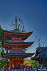 2021-02-23_布施弁天 東海寺 厄除け(2)