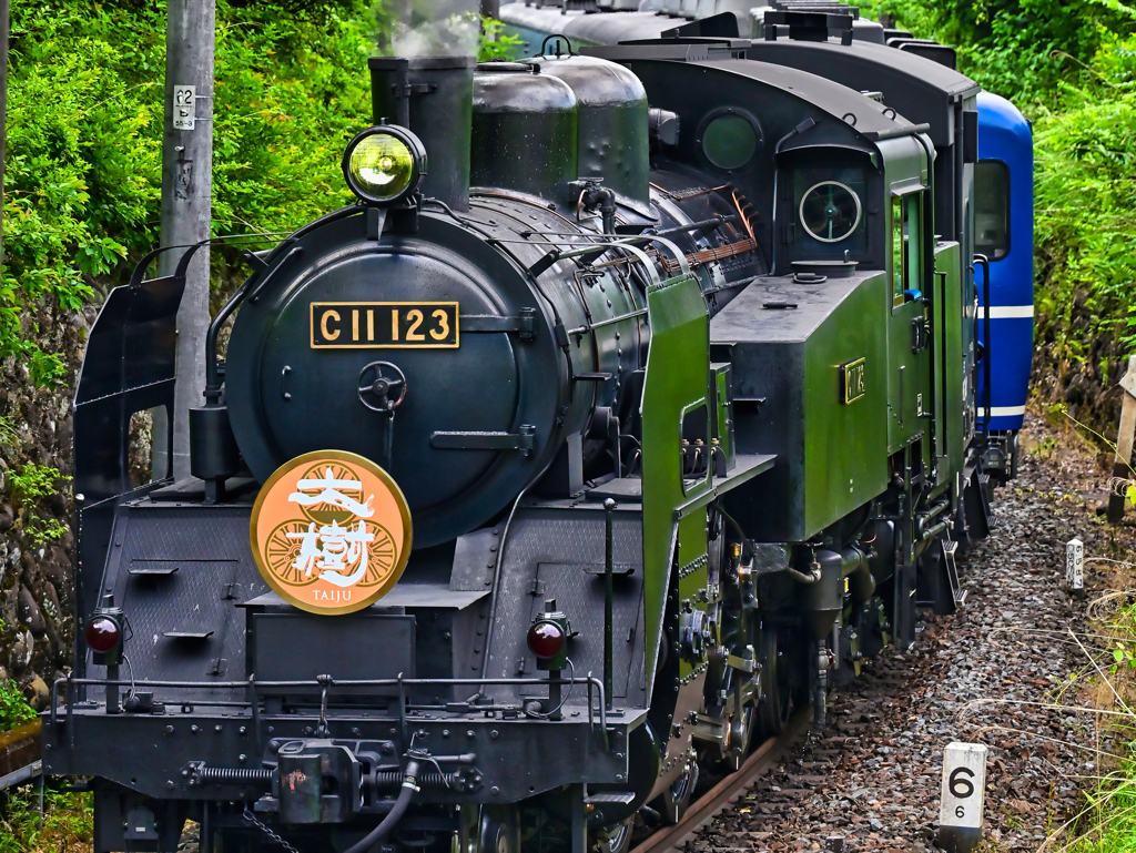 2023-05-28_東武鬼怒川線-6