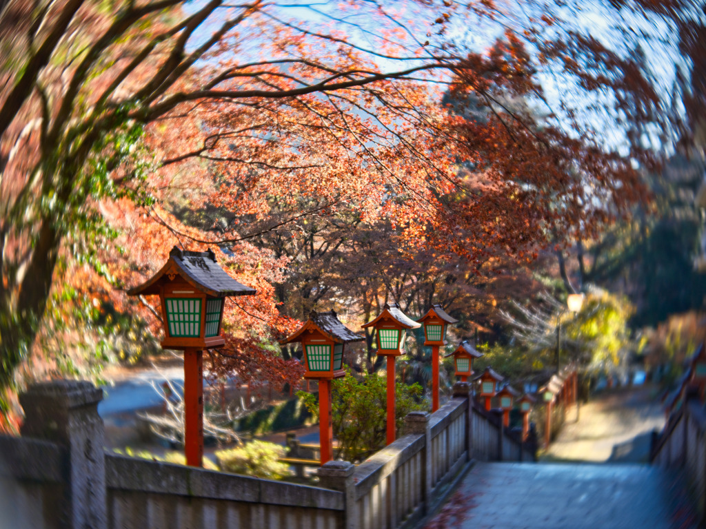 2023-12-09_出流山 満願寺-3