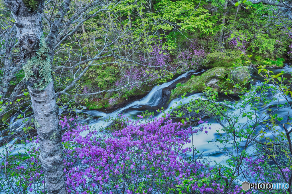 2021-05-26_竜頭ノ滝-10