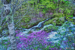 2021-05-26_竜頭ノ滝-10