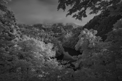 2023-06-10_第一只見川橋梁ビューポイント