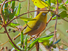 2021-12-05_栃木県 井頭公園-1