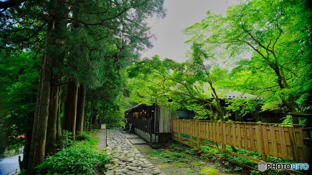 2021-09-13_本宮カフェ(日光東照宮)-1