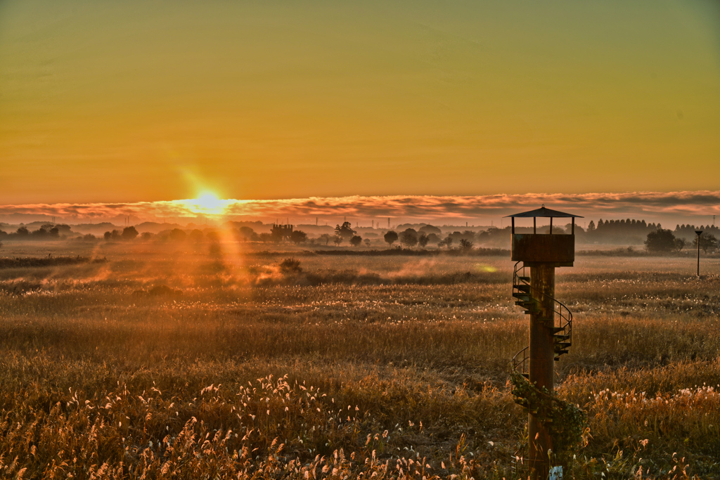 2025-11-22_渡良瀬遊水地 北エントランス-1