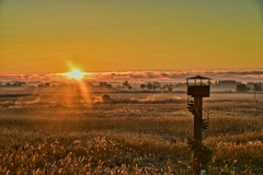 2025-11-22_渡良瀬遊水地 北エントランス-1