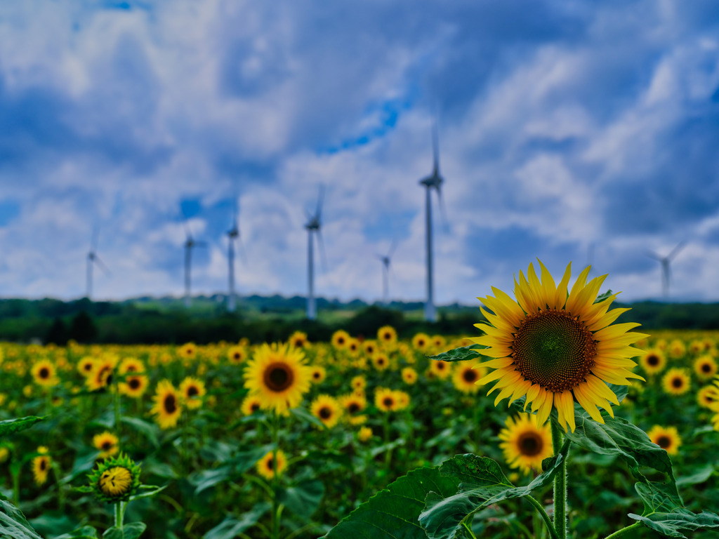 2021-08-27_布引高原-2