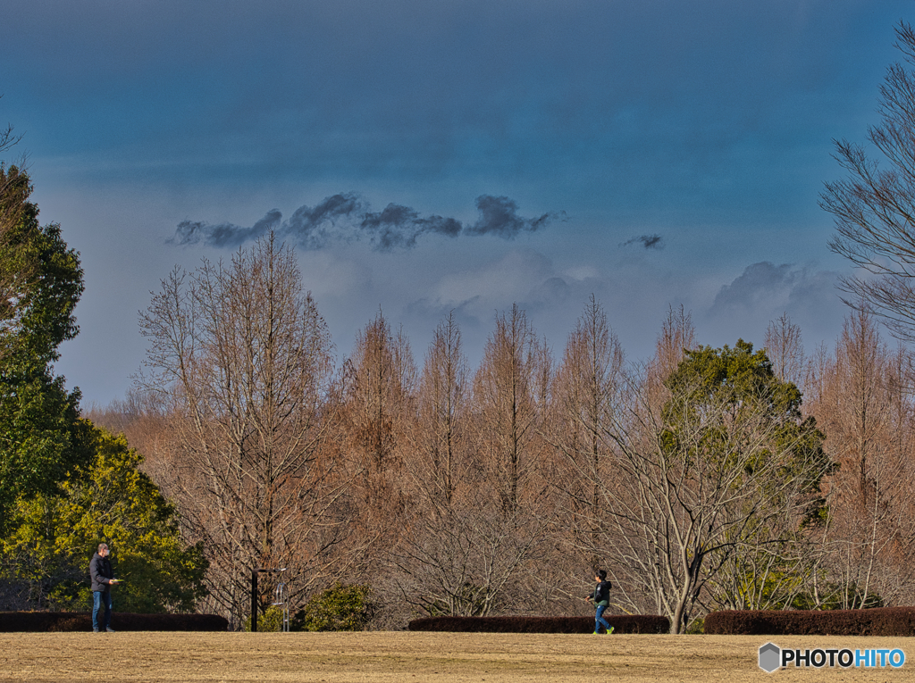 2021-01-30_風景(4)