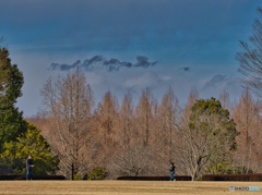 2021-01-30_風景(4)