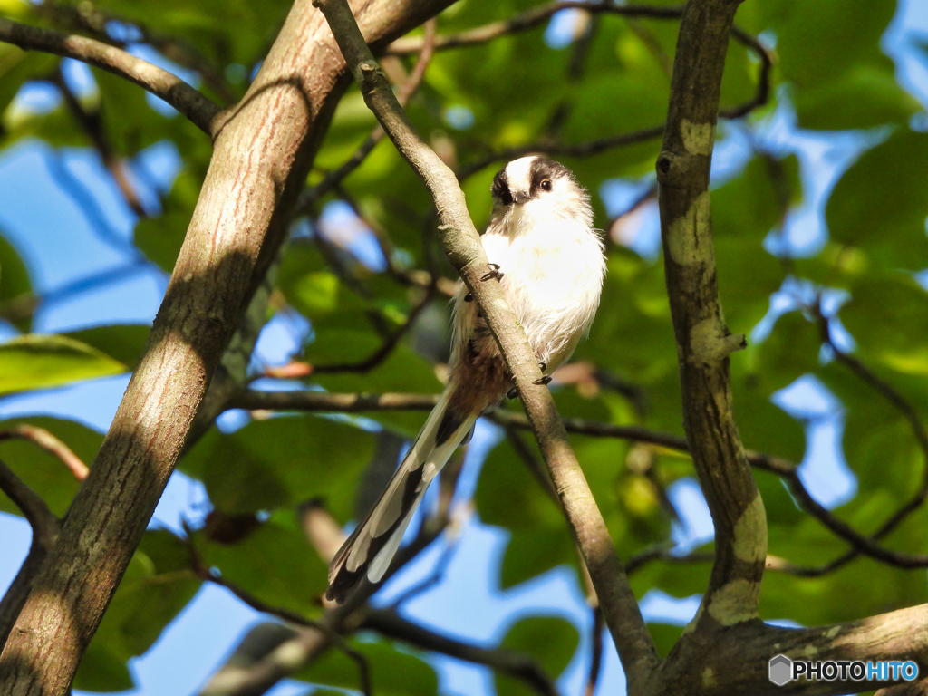 2022-09-11_栃木県 中央公園-3