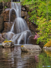 2021-05-03_古峯園-2