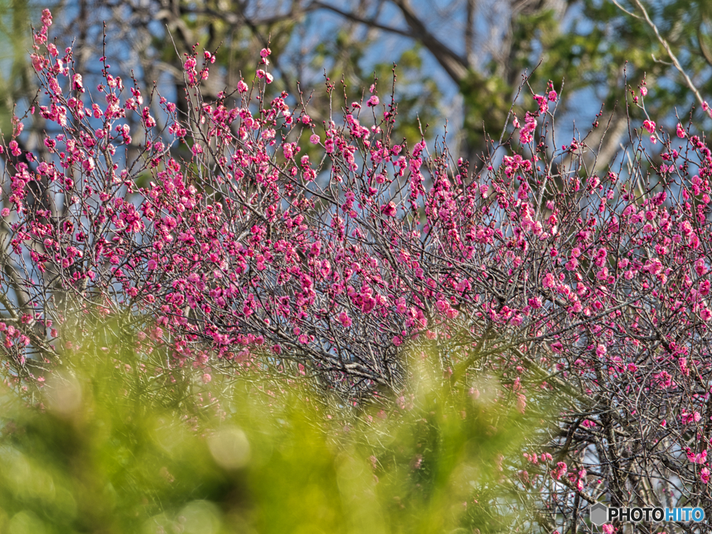 2021-01-30_風景(2)