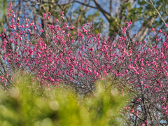 2021-01-30_風景(2)