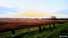 2021-11-14_渡良瀬遊水地北エントランス-3