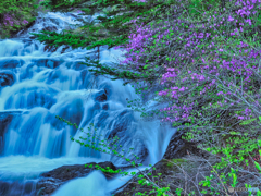 2021-05-26_竜頭ノ滝-5