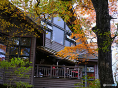 2021-11-03_霧降の滝(山のレストラン)