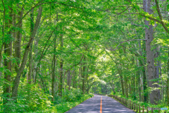 2020-07-19_戦場ヶ原(2)