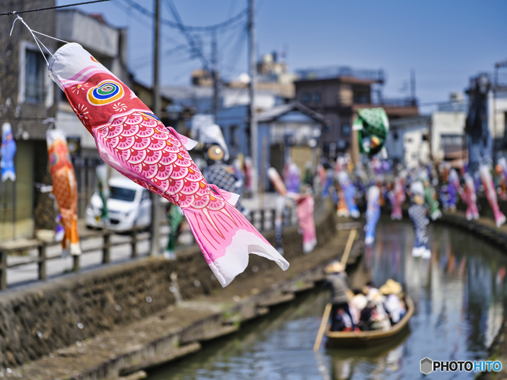 2022-05-05_うずまの鯉のぼり-2