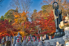 2020-11-14_永源寺もみじ寺(3)