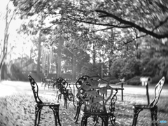 2022-04-22_宇都宮中央公園-1