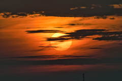 2023-07-16_渡良瀬遊水地-4