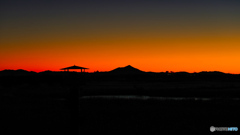 2021-12-18_渡良瀬遊水地