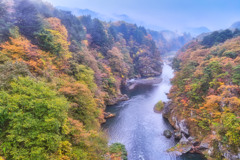 2025-11-09_鬼怒楯岩大吊橋-1