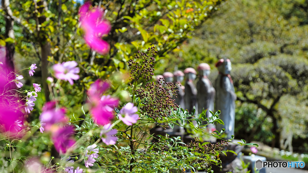 2021-09-23_金蔵院-1