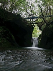2024-10-05_吉野平の不動滝-2