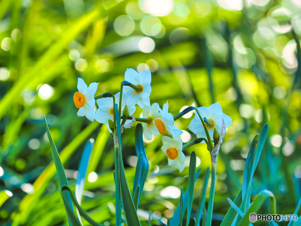 2022-01-05_権現堂堤