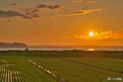 2020-06-20_涸沼(5)