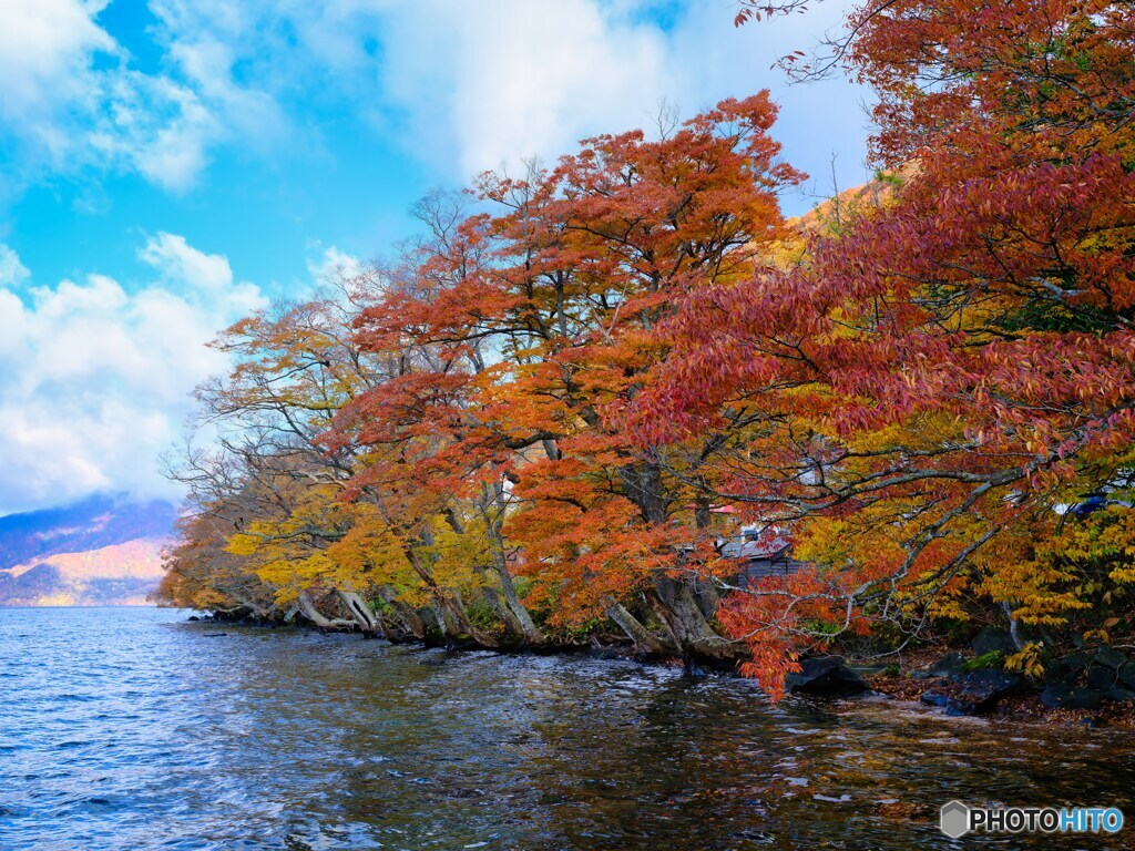 2021-10-29_十和田湖周辺-5