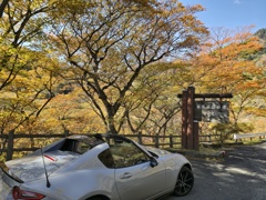 2025-11-08_塩原渓谷