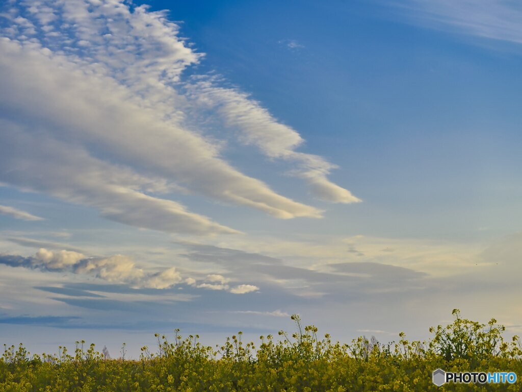 2022-03-27_渡良瀬遊水地